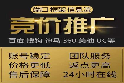 SEM专员案例：数据分析与优化