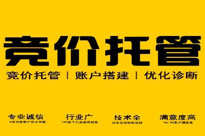 百度SEO推广策略全解析：某企业从零到一的成长历程